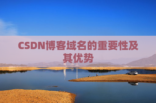 CSDN博客域名的重要性及其优势